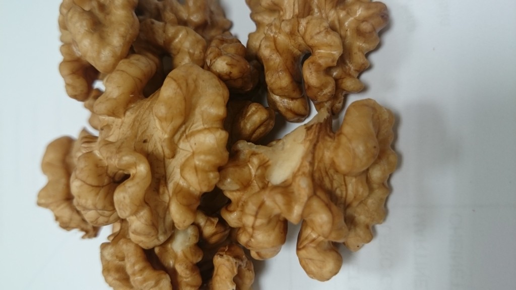 CONTINUOUS PASTEURIZATION & STERILIZATION of walnuts